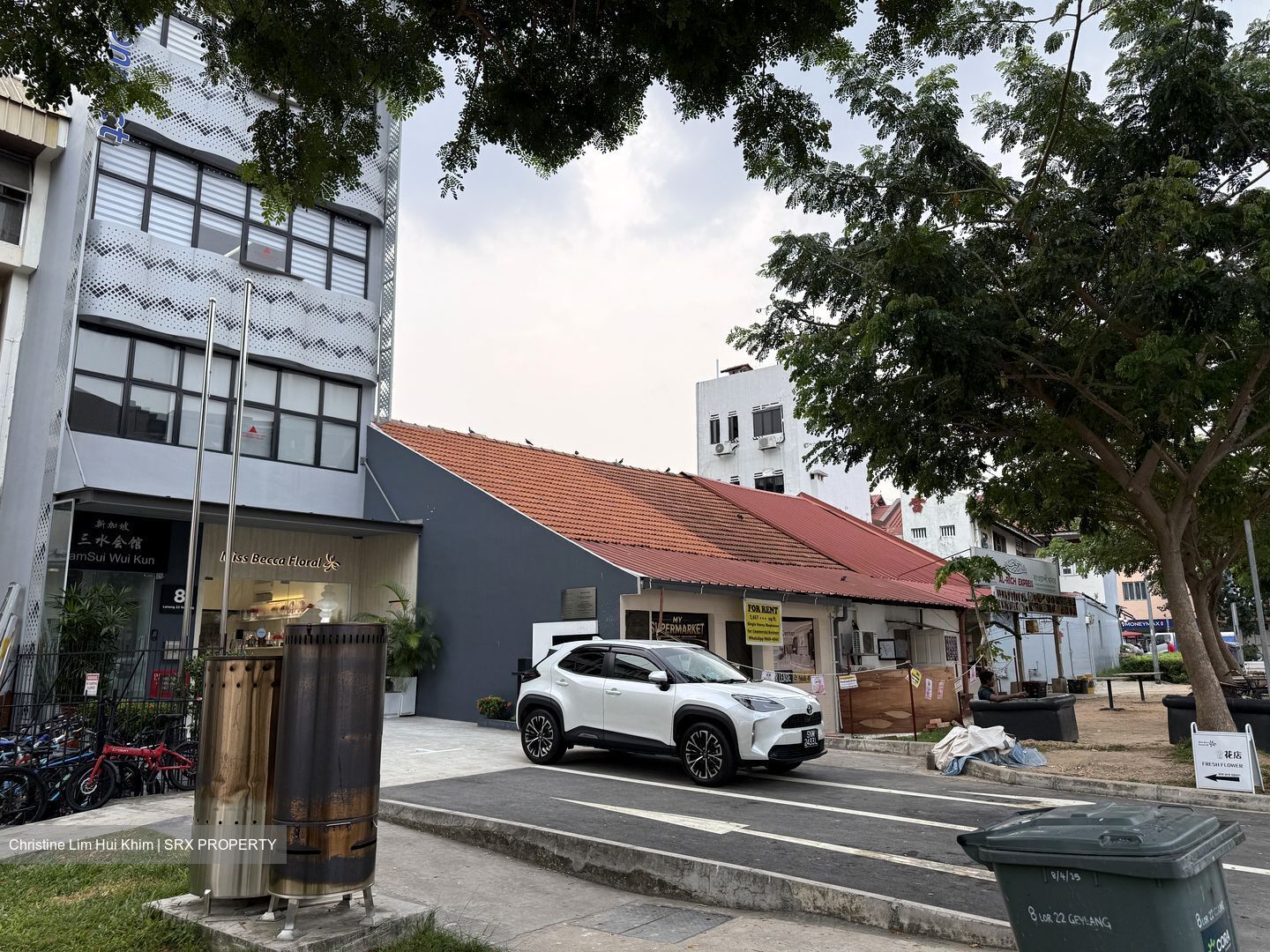 Lorong 22 Geylang (D14), Terrace #623214041